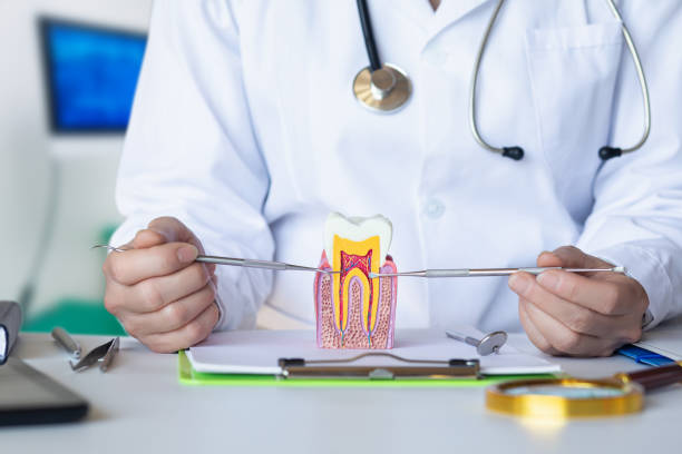 Best Emergency Treatment for Toothache in Paramount, CA